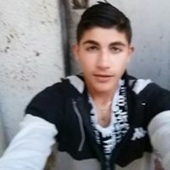 אוריאל שושן