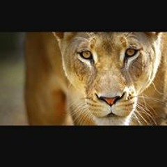 Aliyah HisChosen Yisrael