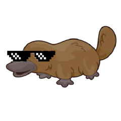 OG Platypus