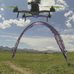 FlyinLimey