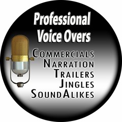 Voice Over Artist