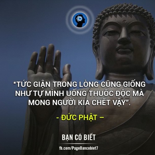 Thang Nguyen 42’s avatar