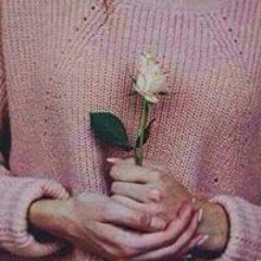 Walaa Gamil