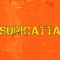 Suricatta