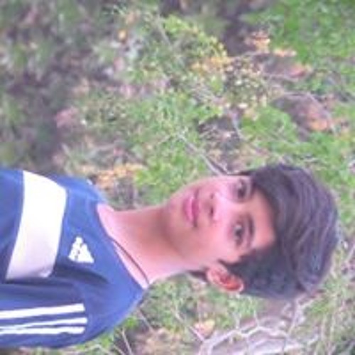 Hamza Niazi’s avatar