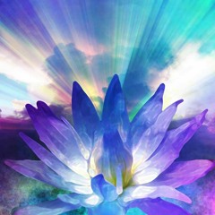 WildLotus