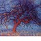 eluvium