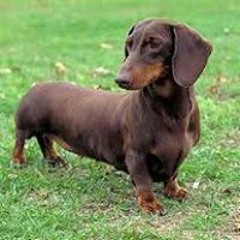 Yo Bathrobe Dwane (Better Version)