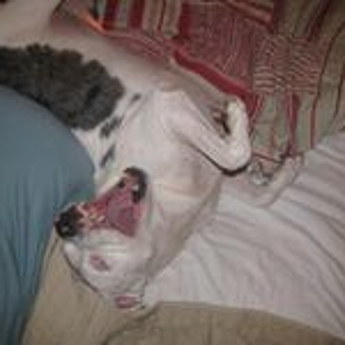 Stream Anderson Rendon music | Listen to songs, albums, playlists for ...