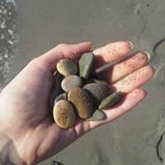 Květoslava Zvonečková