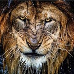 Robert Rabar Anderson