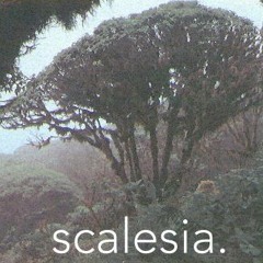 Scalesia