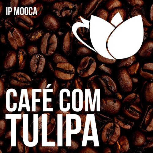 Café com Tulipa 018 - O que preciso de fato?
