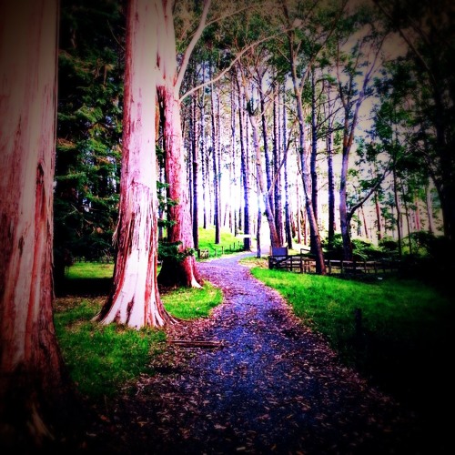 Mid 2014 Acoustic ideas.m4a