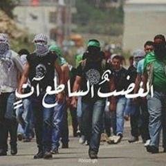 محمد يعقوب