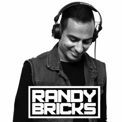 RANDY BRICKS