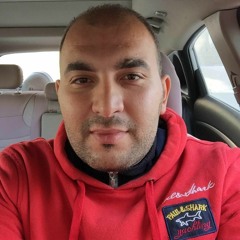 Mohammed Ali Elgaaly