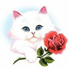 قرآن كريم 💝😍😘