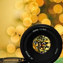 Collared Striker 212