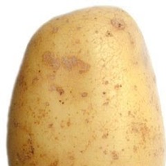 Just a Potato