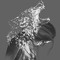 NouRhan ElarDy
