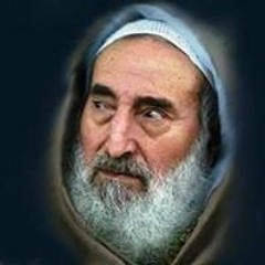 محمد الطنطاوى