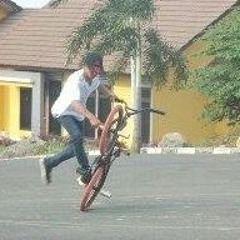 Dhir Flatland