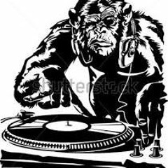 dj monkey