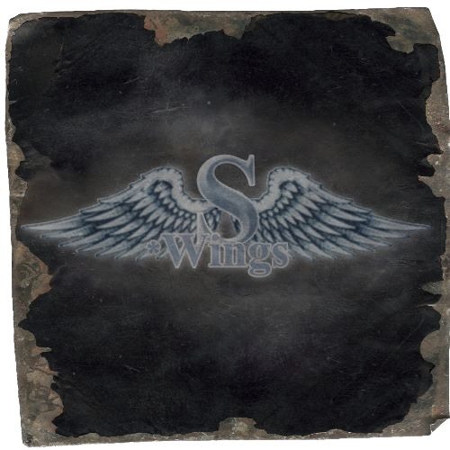 S*Wings Records Berlin’s avatar