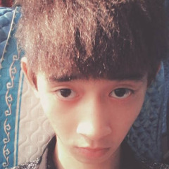 Hoàng Nguyễn Vũ Việt