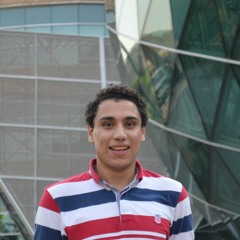 Mohamed Elhamzawy