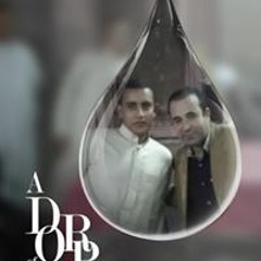 mohamed semary