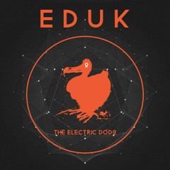The Electric Dodo