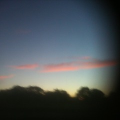 scraig