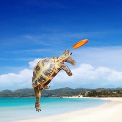 Ronnie Antonio Badong