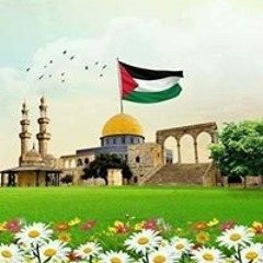 عمر عبدو