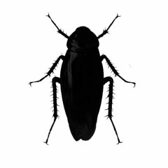 Gobrenix Productions