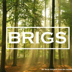 BRIGS