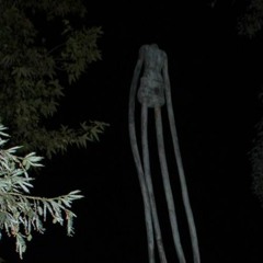 Slendermike