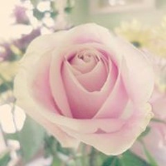 Flawless productions