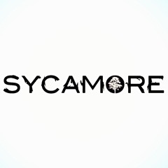 Sycamore