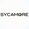 Sycamore
