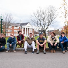 Peacock and the Birds