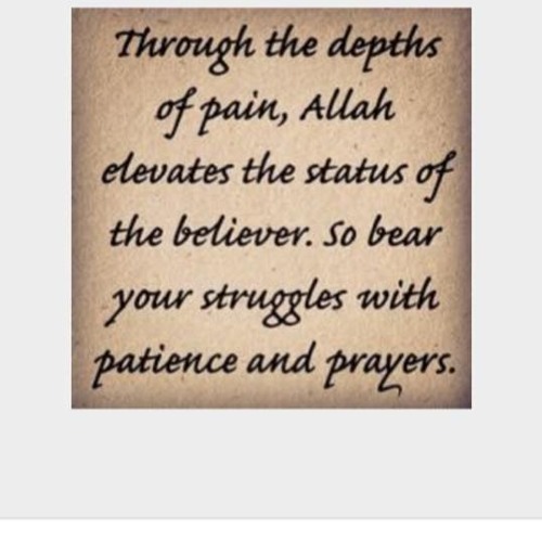 How to seek Knowledge