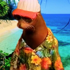 dl