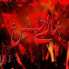 Ammad Raza