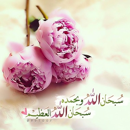 زوجي رسول الله لم أر غيره دفاعا عن السيدة عائشة رضي الله عنها زوجي رسول الله لم أر غيره دفاعا عن السيدة عائشة رضي الله عنها