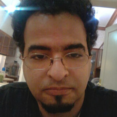 Tammer Amer