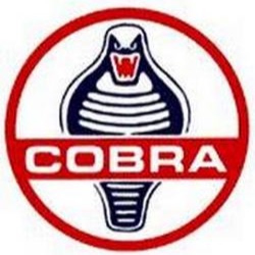 CobraFast1’s avatar