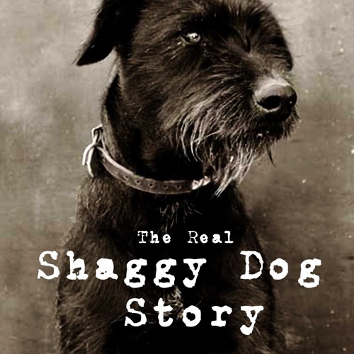Stream The Real Shaggy Dog Story music Listen to songs, albums